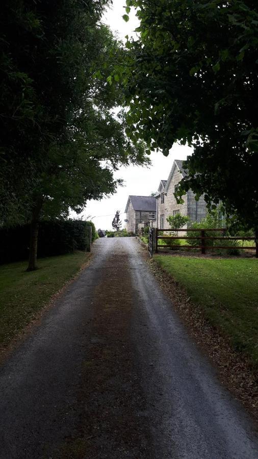 Lorum Old Rectory Bagenalstown Bagian luar foto